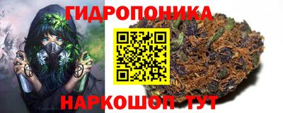 стафф Тара
