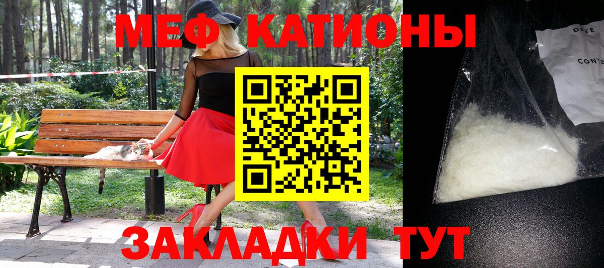 МЕФ  Луга