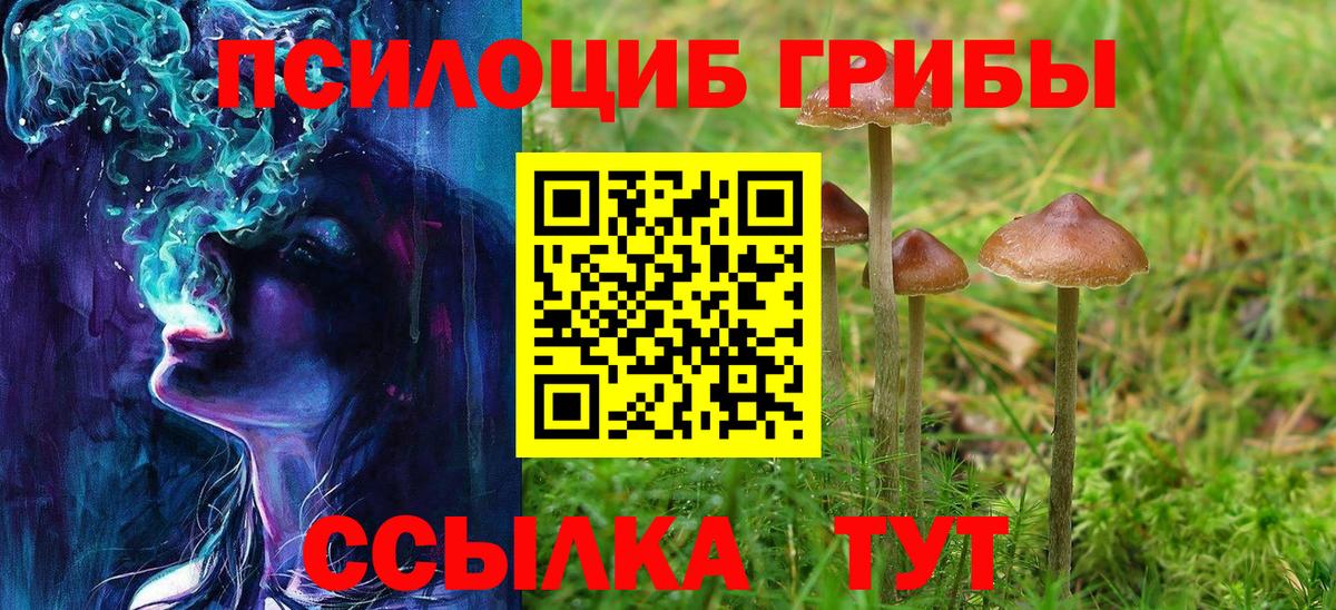 Луга  Псилоцибиновые грибы мицелий  Псилоцибиновые грибы мицелий  Вход с VPN 