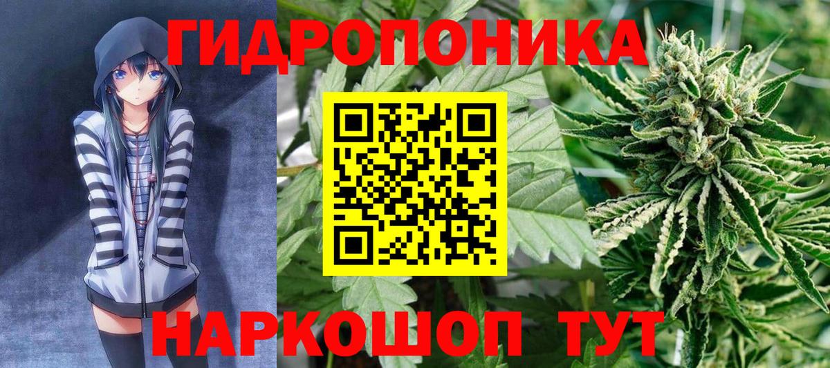 МАРИХУАНА семена  Каннабис MAZAR  Луга  Вход с VPN 